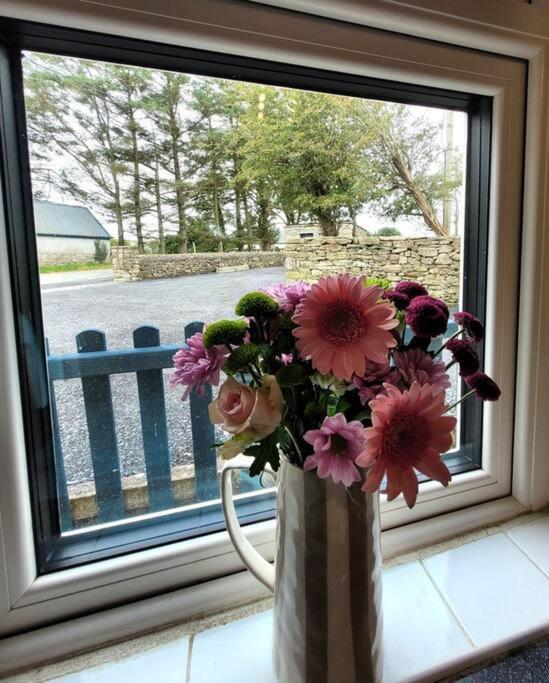 Killawalla Cottage, Westport. 外观 照片